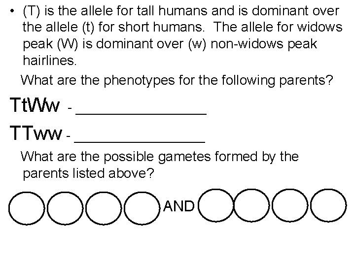  • (T) is the allele for tall humans and is dominant over the