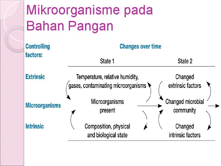 Mikroorganisme pada Bahan Pangan 