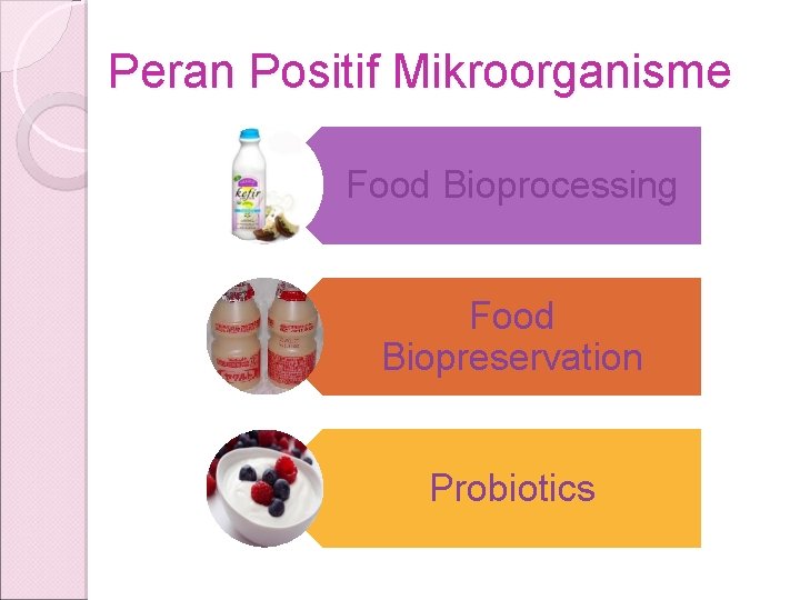 Peran Positif Mikroorganisme Food Bioprocessing Food Biopreservation Probiotics 