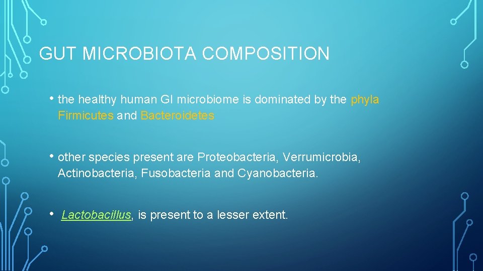 GUT MICROBIOTA COMPOSITION • the healthy human GI microbiome is dominated by the phyla