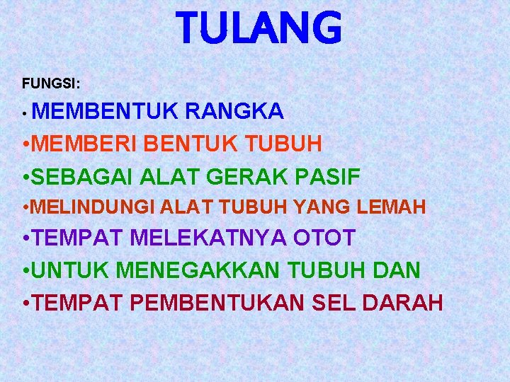 TULANG FUNGSI: • MEMBENTUK RANGKA • MEMBERI BENTUK TUBUH • SEBAGAI ALAT GERAK PASIF