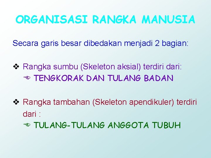 ORGANISASI RANGKA MANUSIA Secara garis besar dibedakan menjadi 2 bagian: v Rangka sumbu (Skeleton