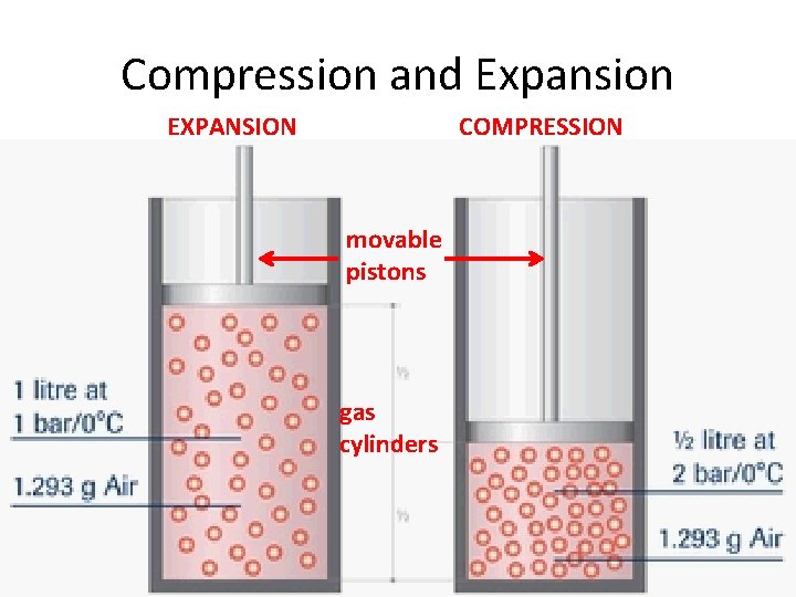 Compression and Expansion EXPANSION COMPRESSION movable pistons gas cylinders 