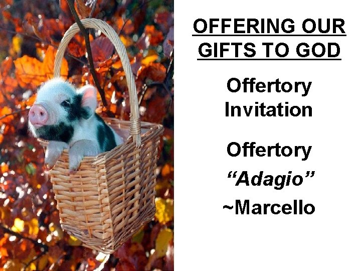 OFFERING OUR GIFTS TO GOD Offertory Invitation Offertory “Adagio” ~Marcello 