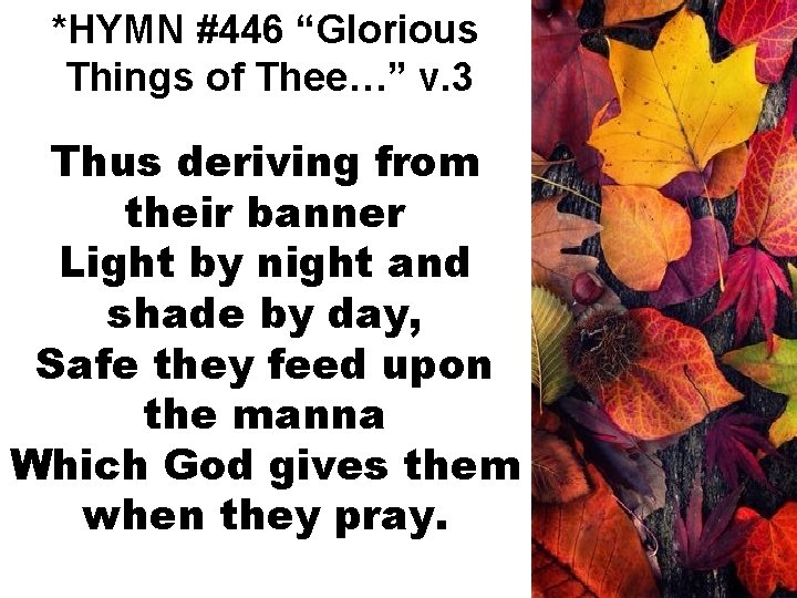 *HYMN #446 “Glorious Things of Thee…” v. 3 Thus deriving from their banner Light