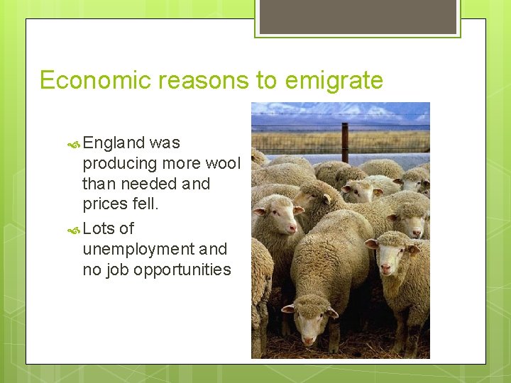 Economic reasons to emigrate England was producing more wool than needed and prices fell.