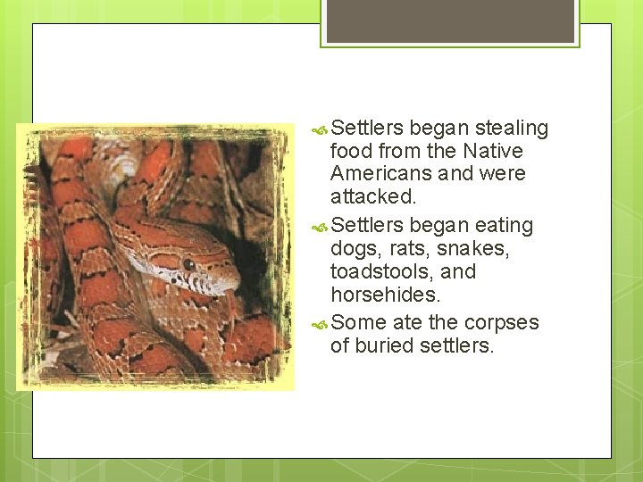  Settlers began stealing food from the Native Americans and were attacked. Settlers began