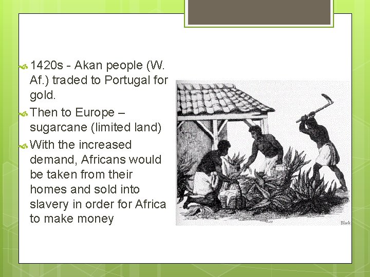  1420 s - Akan people (W. Af. ) traded to Portugal for gold.