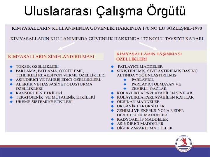 Uluslararası Çalışma Örgütü 