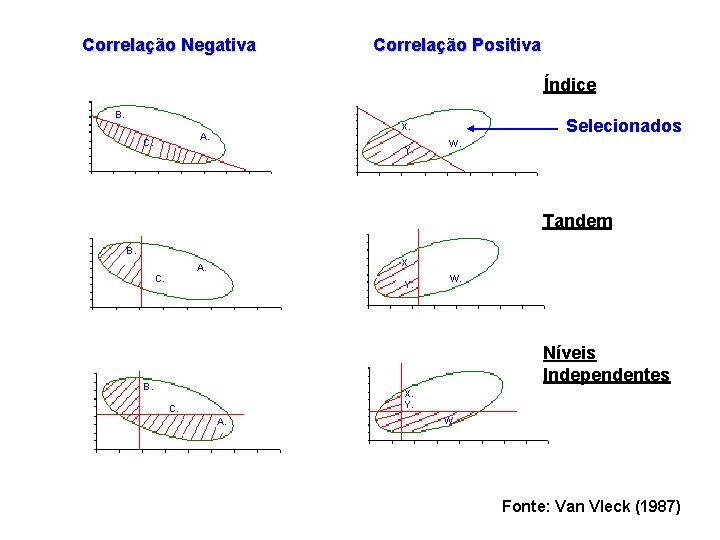 Correlação Negativa Correlação Positiva Índice B. C. Selecionados X. A. Y. W. Tandem B.