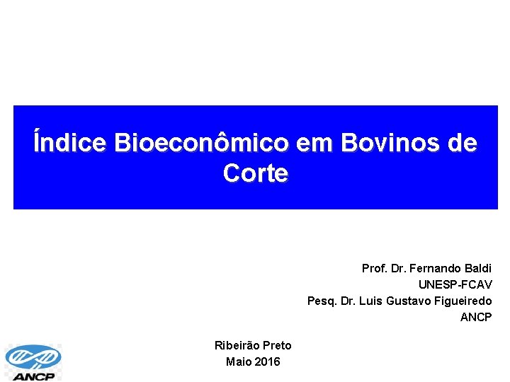 Índice Bioeconômico em Bovinos de Corte Prof. Dr. Fernando Baldi UNESP-FCAV Pesq. Dr. Luis