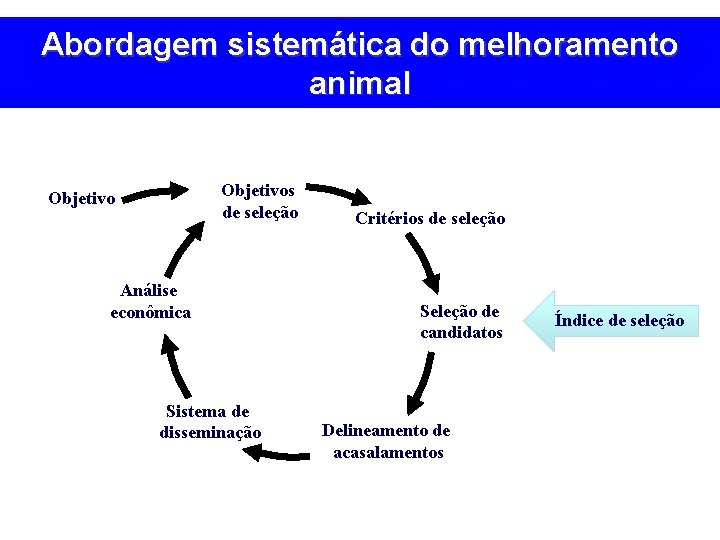 Abordagem sistemática do melhoramento animal Objetivos de seleção Objetivo Análise econômica Sistema de disseminação