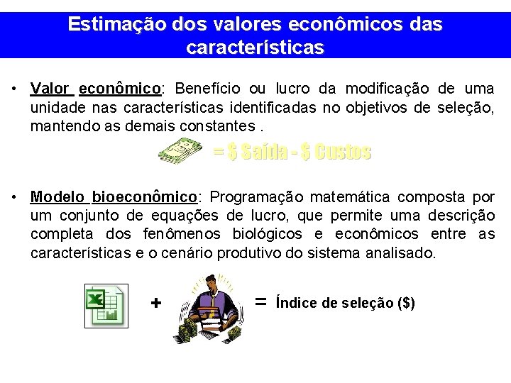 Estimação dos valores econômicos das características • Valor econômico: Benefício ou lucro da modificação