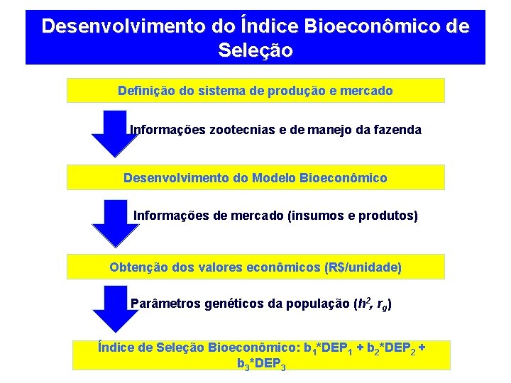 Desenvolvimento do Índice Bioeconômico de Seleção Definição do sistema de produção e mercado Informações