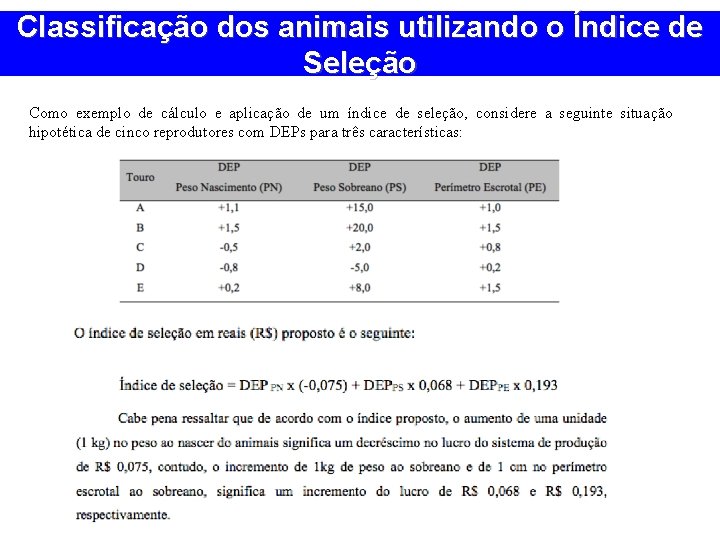 Classificação dos animais utilizando o Índice de Seleção Como exemplo de cálculo e aplicação