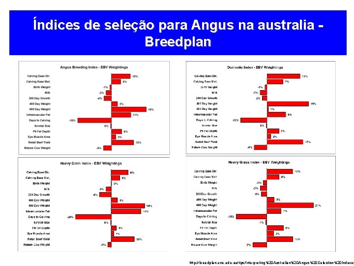 Índices de seleção para Angus na australia Breedplan http: //breedplan. une. edu. au/tips/Interpreting%20 Australian%20