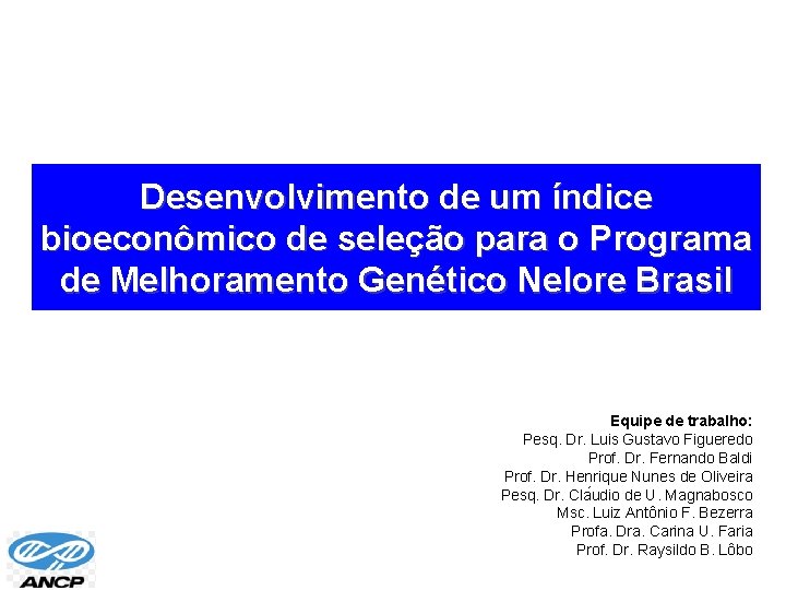 Desenvolvimento de um índice bioeconômico de seleção para o Programa de Melhoramento Genético Nelore