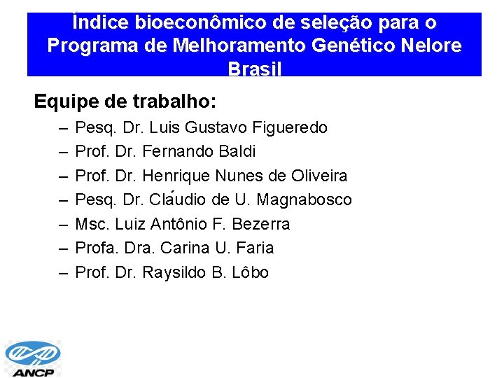 Índice bioeconômico de seleção para o Programa de Melhoramento Genético Nelore Brasil Equipe de