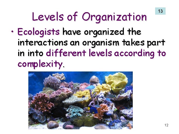 Levels of Organization 13 • Ecologists have organized the interactions an organism takes part