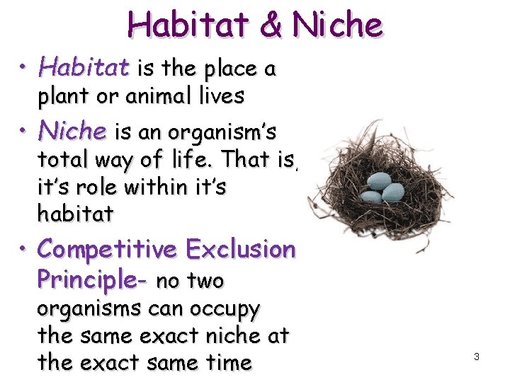 Habitat & Niche • Habitat is the place a plant or animal lives •