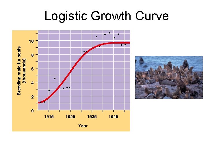 Logistic Growth Curve 