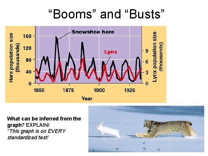 “Booms” and “Busts” What can be inferred from the graph? EXPLAIN! *This graph is