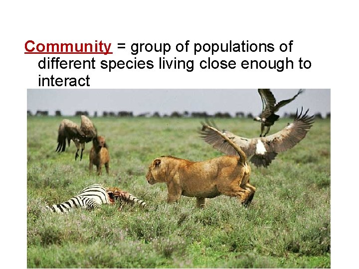 Community = group of populations of different species living close enough to interact 