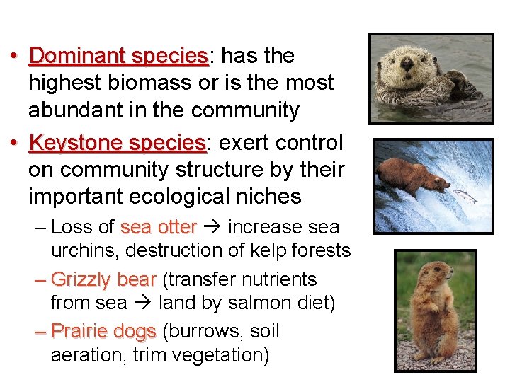  • Dominant species: species has the highest biomass or is the most abundant