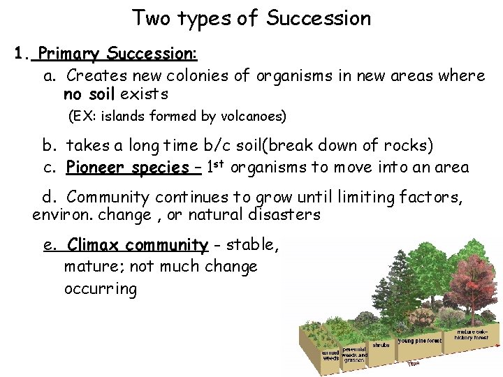 Two types of Succession 1. Primary Succession: a. Creates new colonies of organisms in