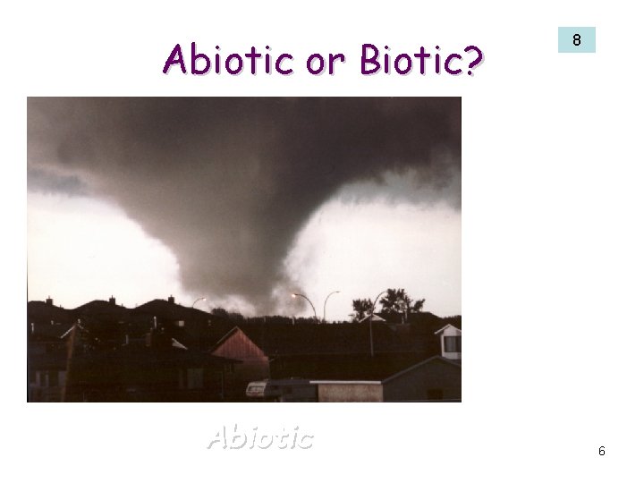 Abiotic or Biotic? Abiotic 8 6 