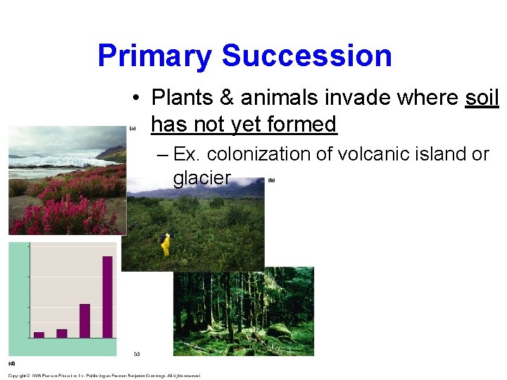 Primary Succession • Plants & animals invade where soil has not yet formed –