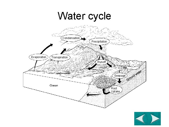 The Water Cycle Section 3 -3 Water cycle Condensation Precipitation Evaporation Transpiration Runoff Seepage