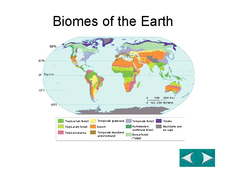 Figure 4 -17 The World’s Major Land Biomes Section 4 -3 Go to Section: