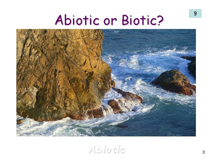 Abiotic or Biotic? Abiotic 9 8 