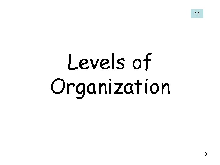 11 Levels of Organization 9 