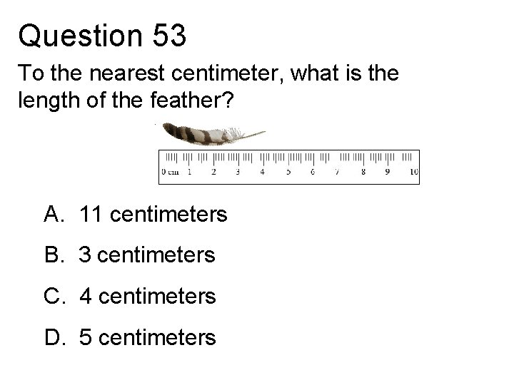 Question 53 To the nearest centimeter, what is the length of the feather? A.