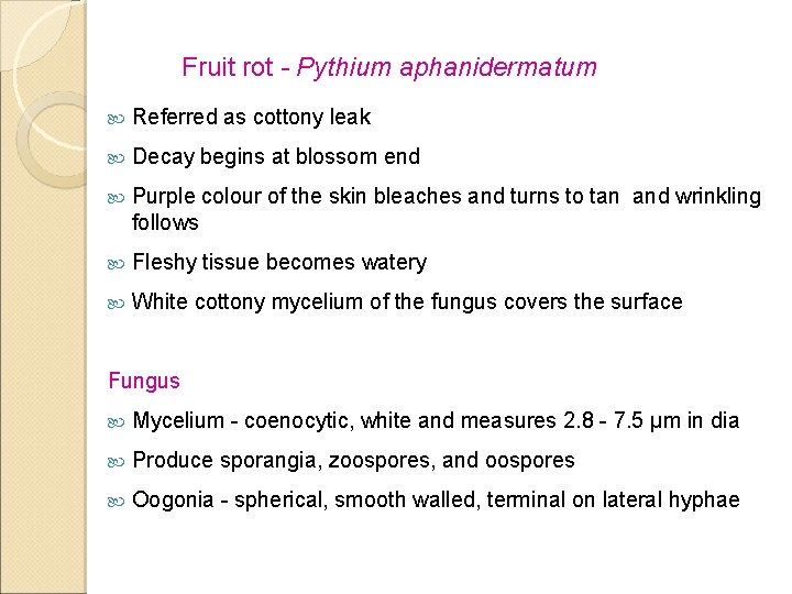 Fruit rot - Pythium aphanidermatum Referred as cottony leak Decay begins at blossom end