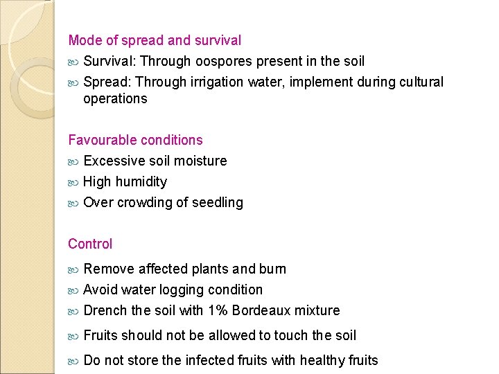 Mode of spread and survival Survival: Through oospores present in the soil Spread: Through