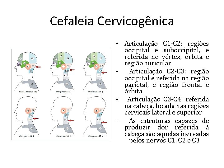 Cefaleia Cervicogênica • Articulação C 1 -C 2: regiões occipital e suboccipital, e referida