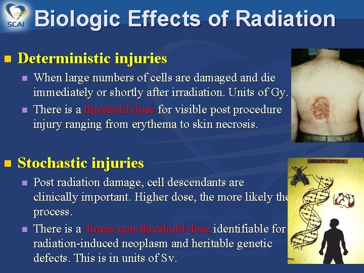 Biologic Effects of Radiation n Deterministic injuries n n n When large numbers of