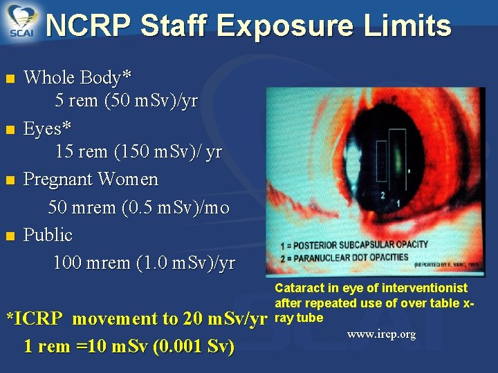 NCRP Staff Exposure Limits n n Whole Body* 5 rem (50 m. Sv)/yr Eyes*