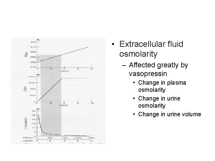  • Extracellular fluid osmolarity – Affected greatly by vasopressin • Change in plasma