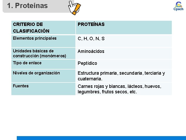1. Proteínas CRITERIO DE CLASIFICACIÓN PROTEÍNAS Elementos principales C, H, O, N, S Unidades