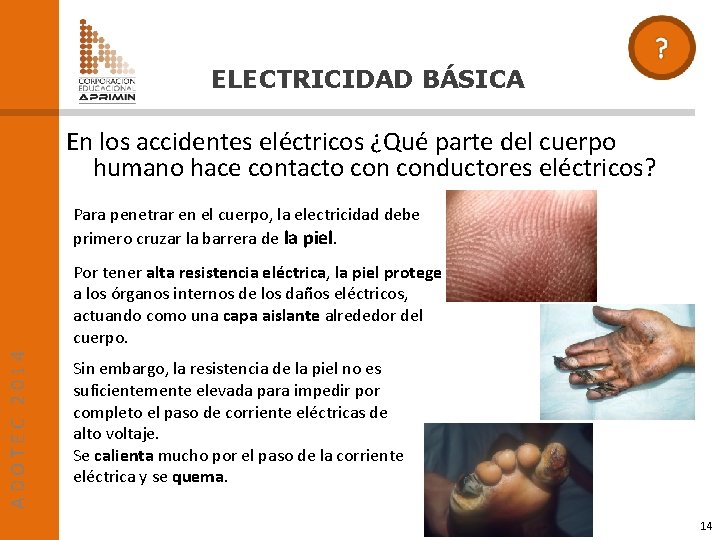 ELECTRICIDAD BÁSICA En los accidentes eléctricos ¿Qué parte del cuerpo humano hace contacto conductores