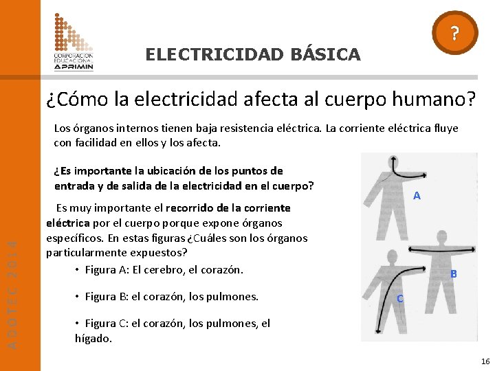 ELECTRICIDAD BÁSICA ¿Cómo la electricidad afecta al cuerpo humano? Los órganos internos tienen baja