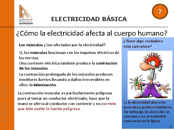 ELECTRICIDAD BÁSICA ¿Cómo la electricidad afecta al cuerpo humano? ADOTEC 2014 Los músculos ¿Son