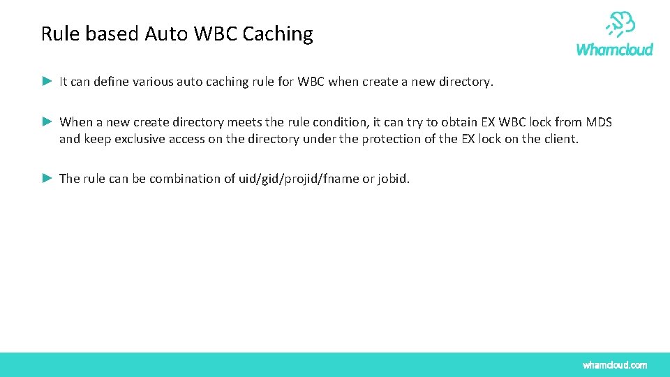 Rule based Auto WBC Caching ► It can define various auto caching rule for Rule based Auto WBC Caching ► It can define various auto caching rule for