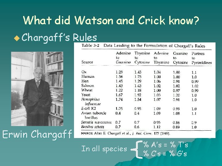 What did Watson and Crick know? u Chargaff’s Rules Erwin Chargaff In all species
