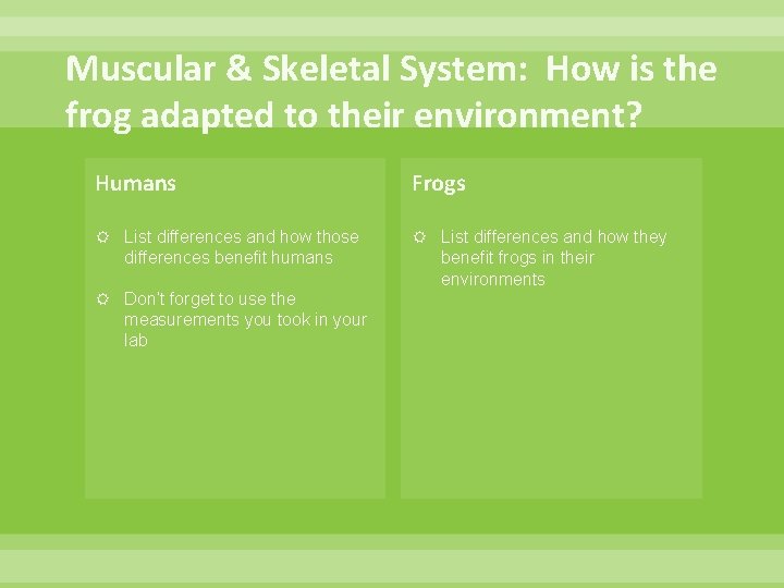 Muscular & Skeletal System: How is the frog adapted to their environment? Humans Frogs