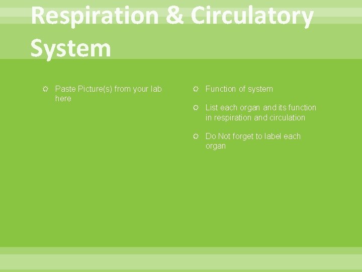 Respiration & Circulatory System Paste Picture(s) from your lab here Function of system List